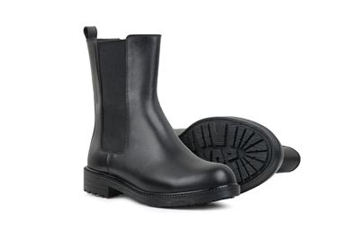 تصویر مارتیس