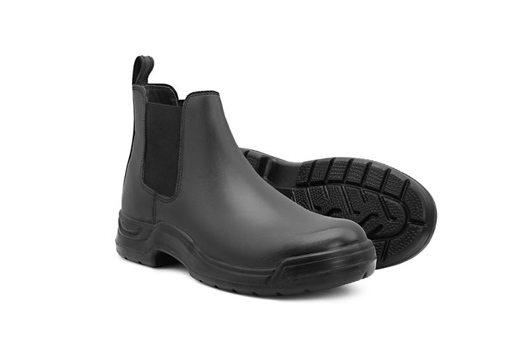 تصویر  ایمنی چلسی